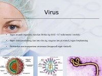 /album/virus1/a7-bakterier-och-virus-018-jpeg1/